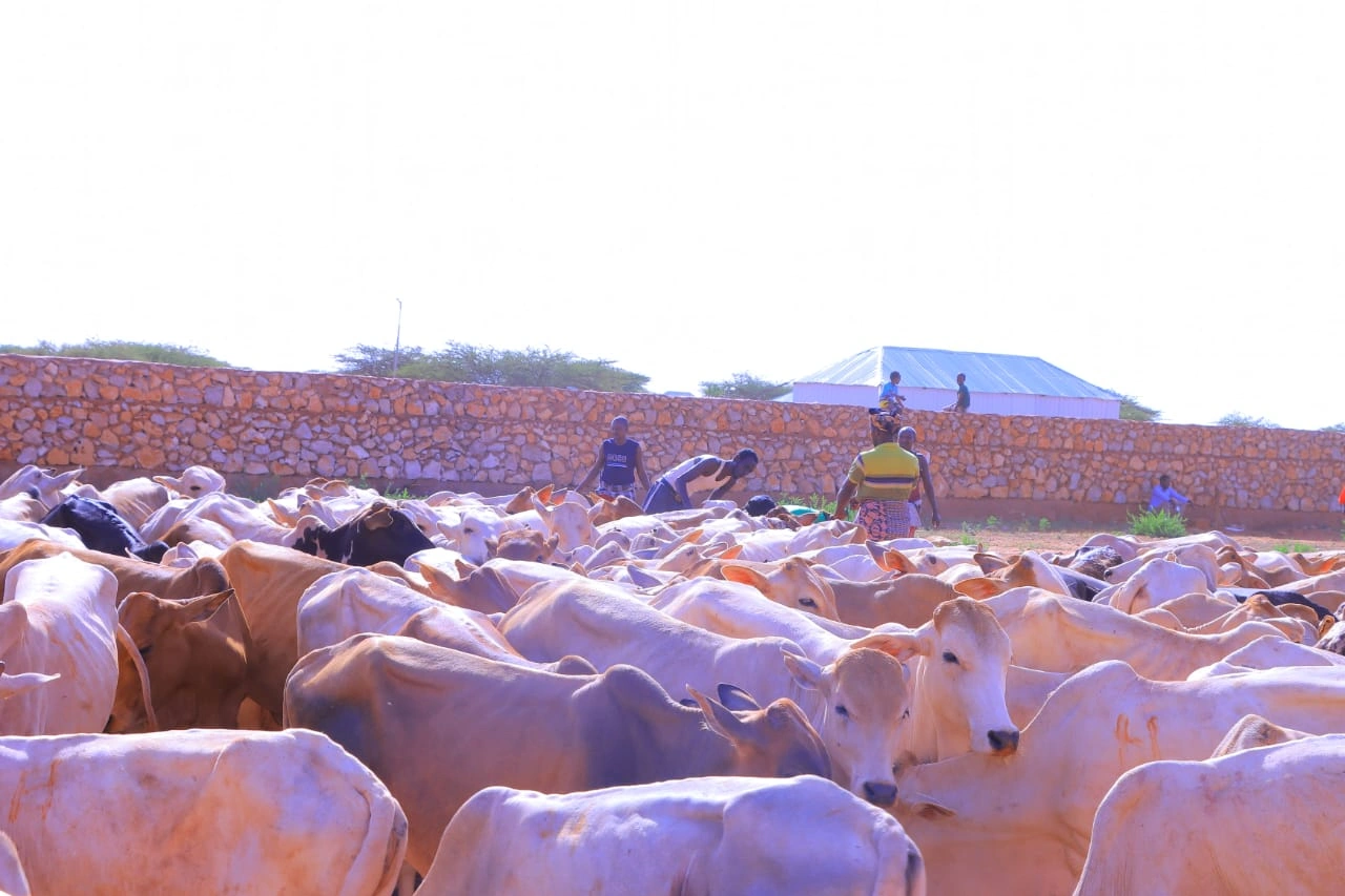 Qurban images Image 9